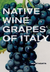 D'Agata book cover