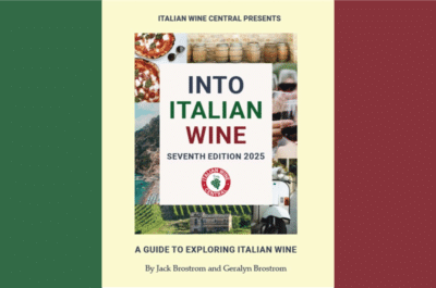 Into Italian Wine, 7th Edition (2025)